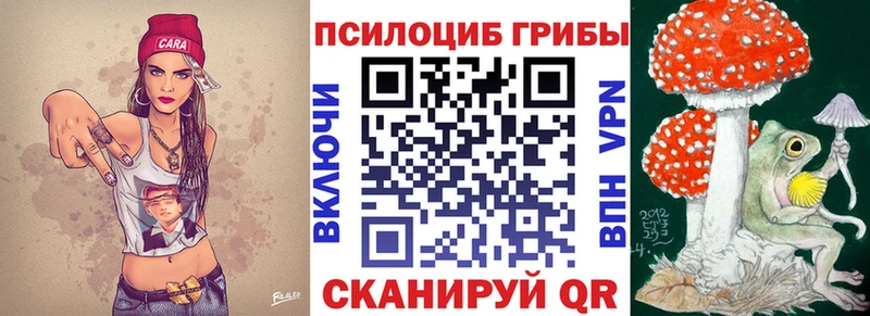 где купить наркоту  kraken зеркало  Галлюциногенные грибы MAGIC MUSHROOMS  Макарьев 